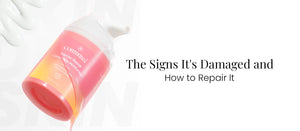 Skin Barrier 101: The Signs It's Damaged and How to Repair It