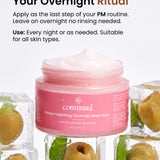 Deep Hydrating Ceramide Sleep Mask